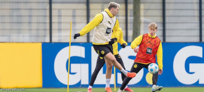 بعد إصابة الكاحل.. دورتموند يستعيد زوله