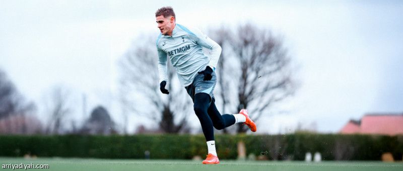 دانسو وتيل يدعمان توتنام أمام ليفربول