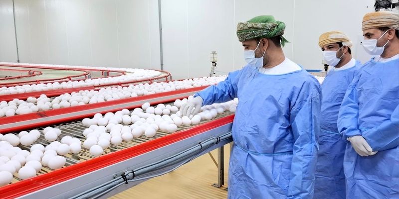قيمة مشاريع الأمن الغذائي بالقطاع الحيواني بالظاهرة تبلغ 35 مليون ريال عُماني