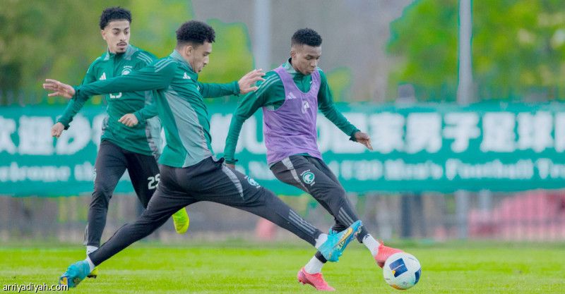 أخضر 20 يكثف اللياقة والتكتيك