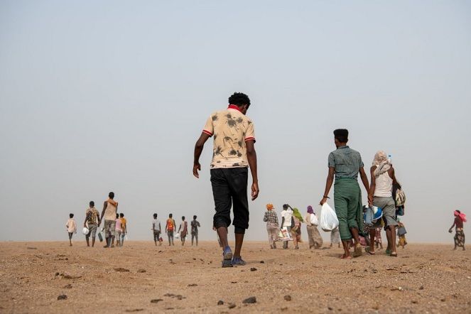 "الهجرة الدولية" تطلق نداءً لتوفير 81 مليون دولار لتلبية احتياجات المهاجرين إلى اليمن وجنوب أفريقيا