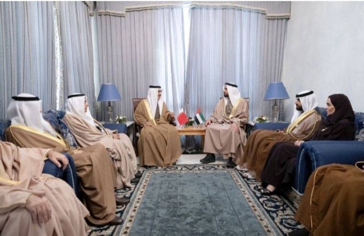 سيف بن زايد يبحث التعاون مع وزراء ومسؤولين من الدول الشقيقة والصديقة