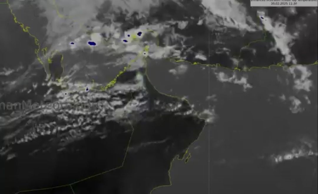 الأرصاد: أمطار متفرقة وضباب على هذه المناطق