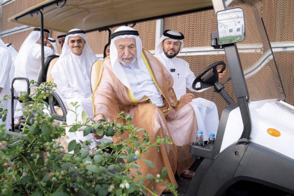 حاكم الشارقة يشهد تدشين منتجات «غراس» العضوية في الصوبات الزراعية