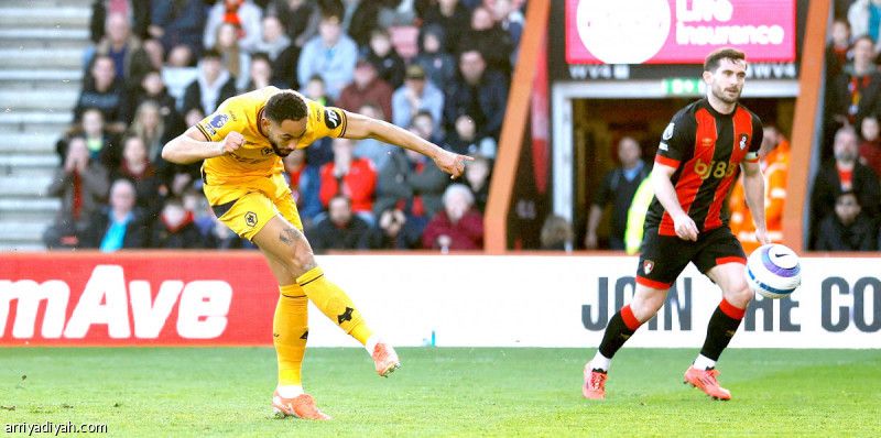 بهدف برازيلي.. وولفرهامبتون يبتعد عن الهبوط