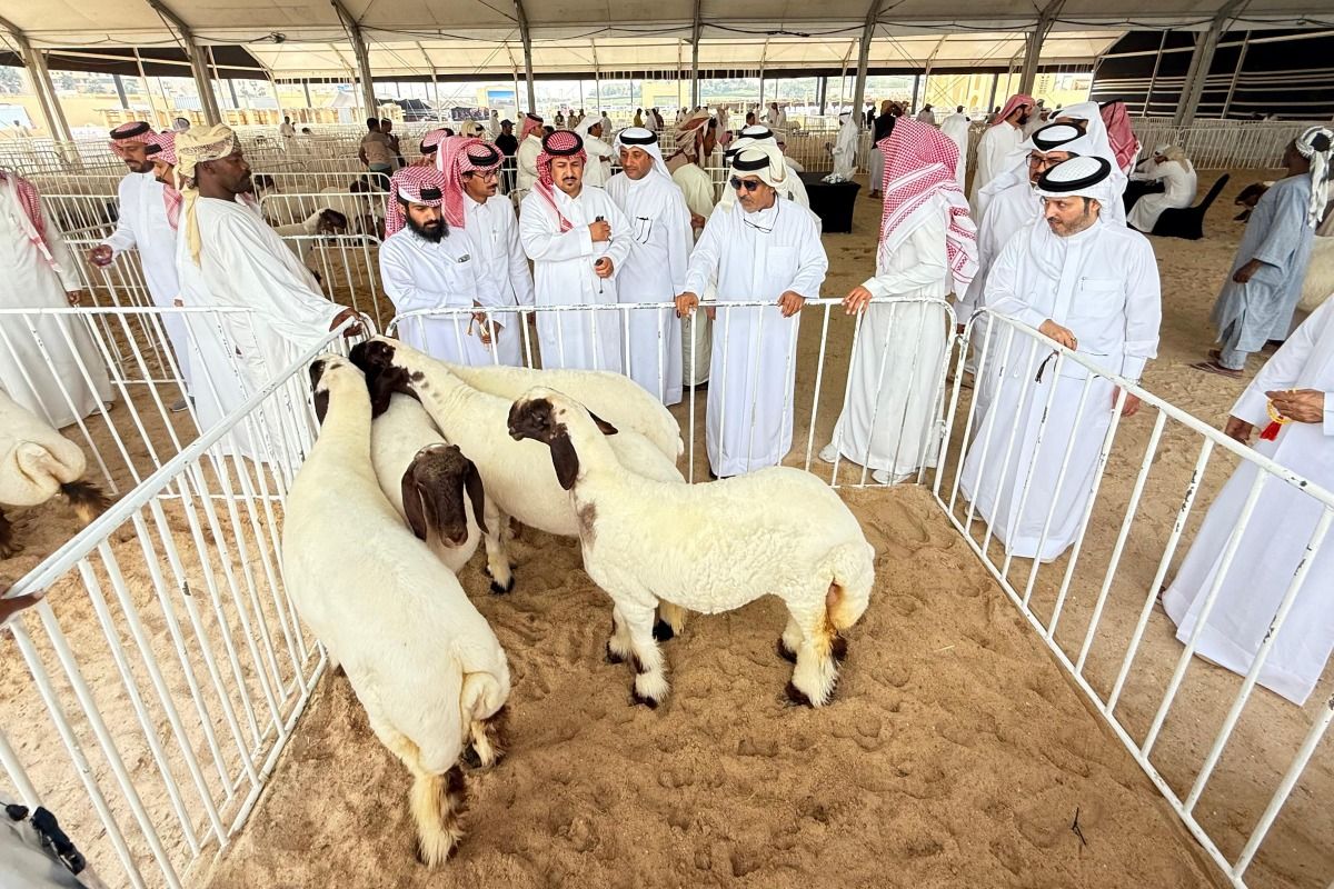 حضور قوي للمشاركين الخليجيين في مهرجان حلال قطر 2025 بكتارا