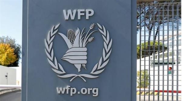 الأغذية العالمي: يجب استمرار وقف إطلاق النار في غزة ولا مجال للعودة للوراء
