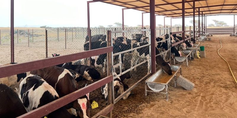 طرح 21 فرصة استثمارية جديدة في البريمي لتعزيز الأمن الغذائي