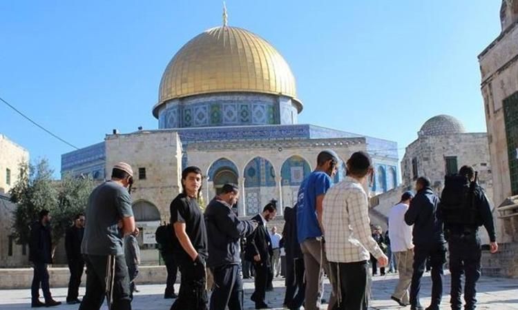 مستوطنون يقتحمون المسجد الأقصى المبارك بحماية شرطة الاحتلال الإسرائيلي