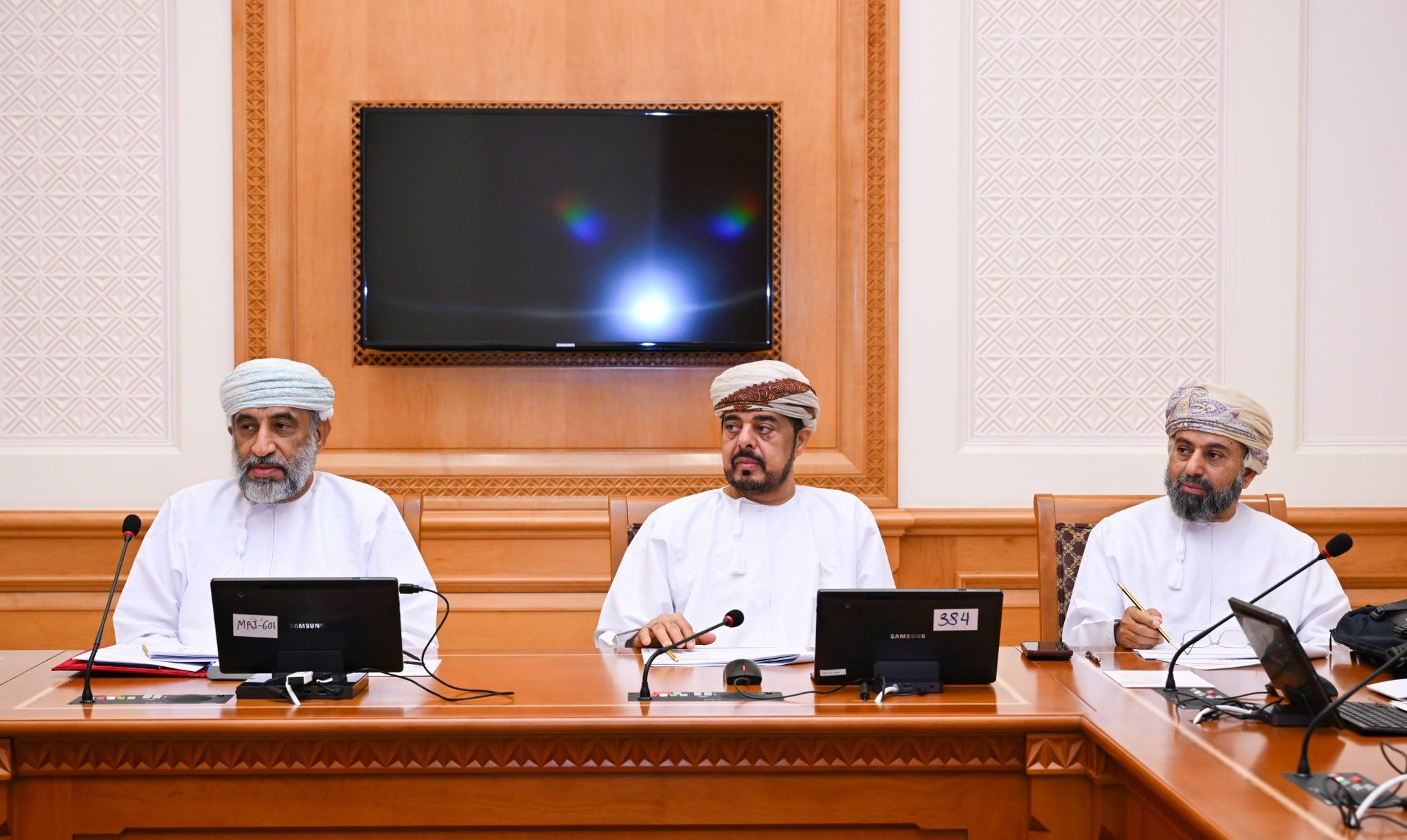 مجلس الدولة يناقش مشروع قانون تحصيل مستحقات الدولة