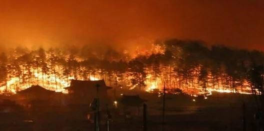 كوريا الجنوبية: مصرع وإصابة 10 أشخاص جراء حرائق الغابات المستعرة في جنوب البلاد