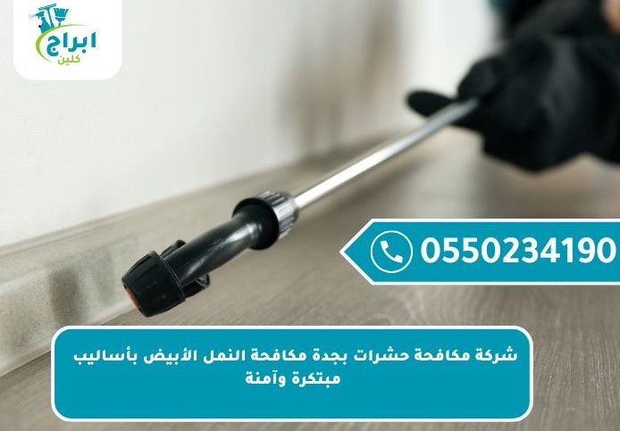 شركة مكافحة حشرات بجدة مكافحة النمل الأبيض بأساليب مبتكرة وآمنة
