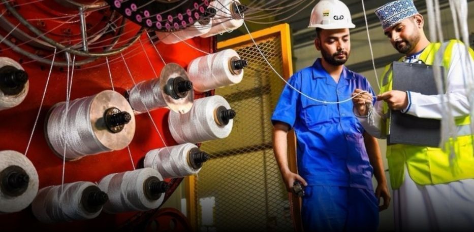 زيادة 11.2% في عدد المؤسسات الخاصة بسلطنة عمان في 2024