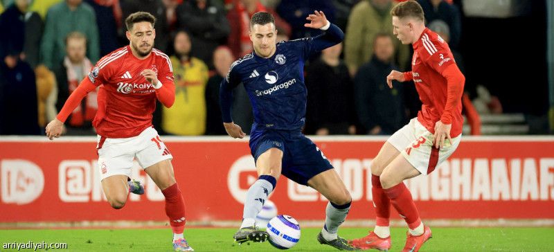 دالوت: نسير على الطريق الصحيح