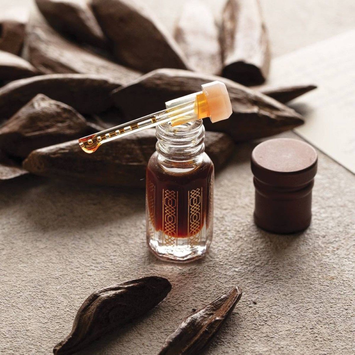 الإمارات والهند.. تواصل حضاري وتأثر ثقافي متبادل