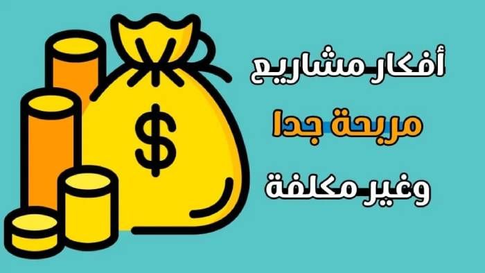 أفكار مشاريع صغيرة مربحة جدا وغير مكلفة