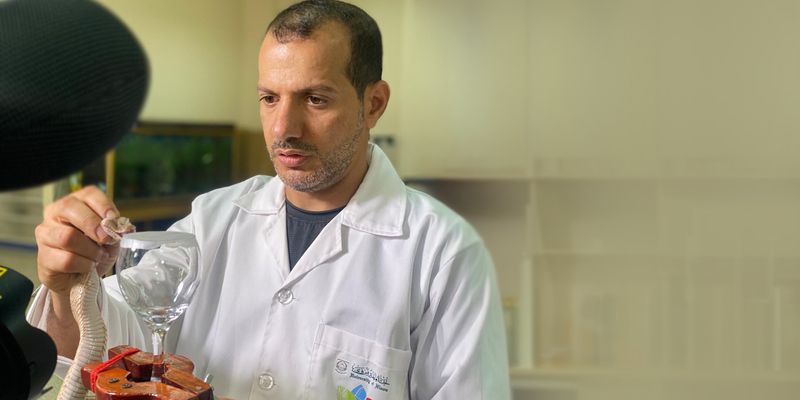 توثيق “الصلّ الأسود” لأول مرة في سلطنة عُمان