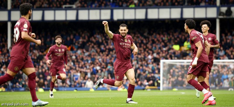 سيتي يكسب إيفرتون بثنائية.. وبرايتون يخسر التاسعة