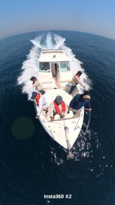 لأول مرة.. مشروع مسح أنواع الثدييات البحرية يرصد الحوت برايد في محافظة مسندم