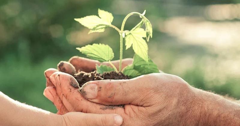 الهاجري: مشاركة الكويت في «يوم الأرض» تعكس بصمتها البيئية والتزامها بالاتفاقيات الدولية