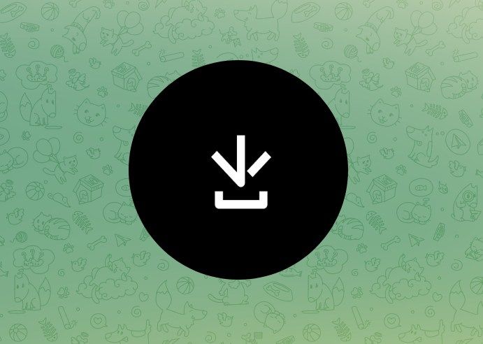 أقوى بوت تيليجرام تنزيل فيديوهات من مواقع التواصل