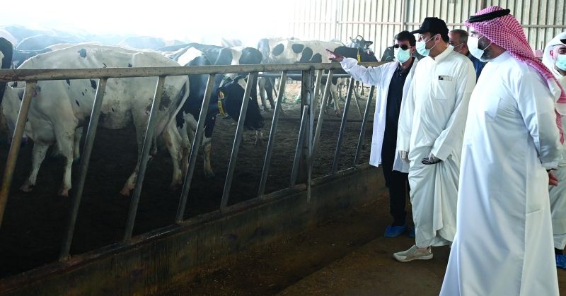 الحاي لـ «الراي»: «الحمى القلاعية» تحت السيطرة