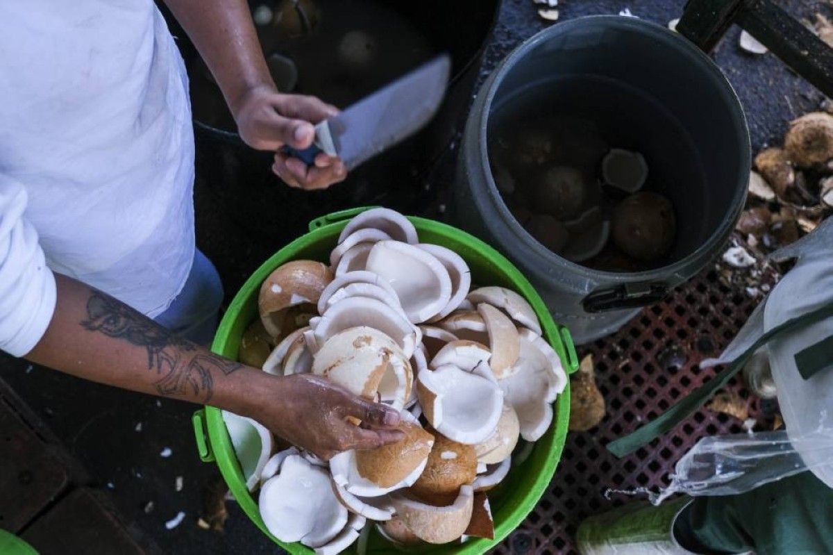 قفزة في أسعار جوز الهند عالمياً وسط نقص المعروض والطقس السيّئ