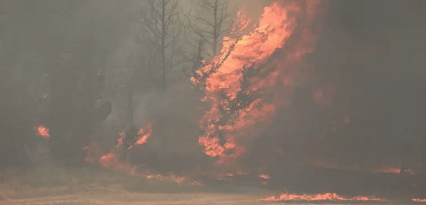 استمرار حرائق الغابات فى إسرائيل.. وإخلاء أكثر من 9 مستوطنات