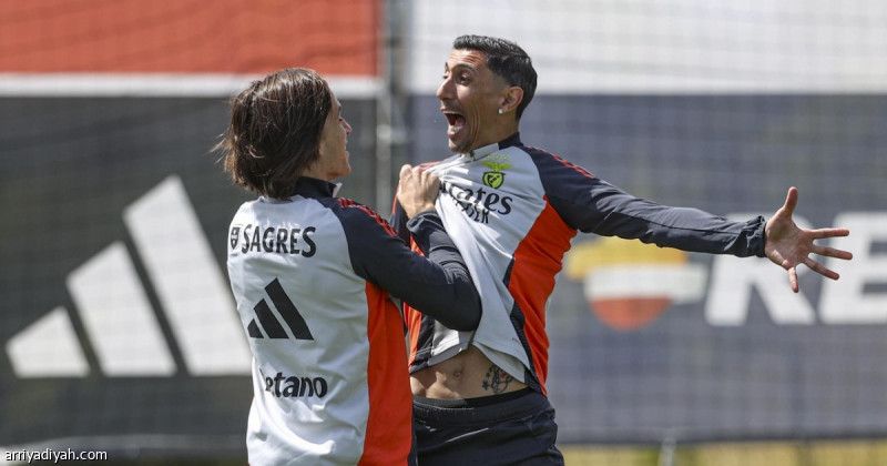 بنفيكا وسبورتينج.. الحسم في الأمتار الأخيرة