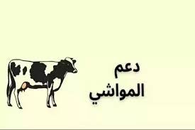 تحديث دعم صغار مربي الماشية وخطوات التسجيل في البرنامج