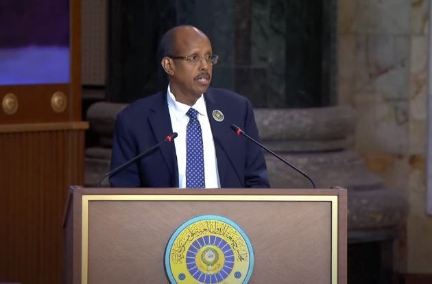 مفوضية الإتحاد الأفريقي: نطالب بوقف العدوان على الشعب الفلسطيني الأعزل واسترجاع حقوقه المسلوبة