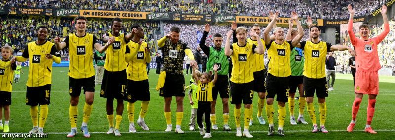 دورتموند ينتزع بطاقة دوري الأبطال