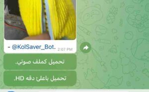 تنزيل فيديوهات تيك توك بدون علامه مائيه بشرح 3 طرق