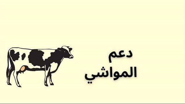 كيف يتم استعلام عن دعم المواشي في السعودية وشروط التقديم على الدعم