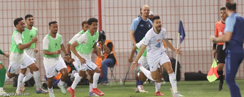 بنقاط ضمك.. الفتح ينجو من الهبوط