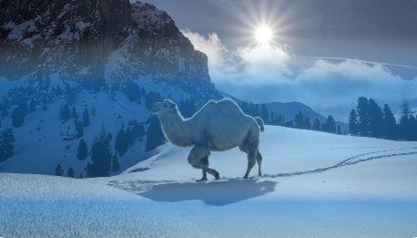 جوجل تطرح أداة لاكتشاف الصور المولدة عبر الذكاء الاصطناعي