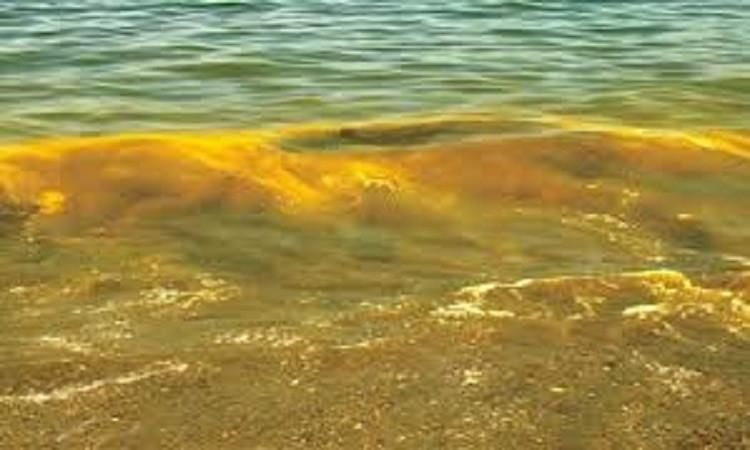 كوريا الجنوبية تعرب عن قلقها بشأن حظر الصين للإبحار بالبحر الأصفر