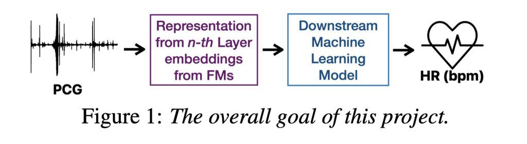 ثورة في عالم الصحة الرقمية.. سماعات Apple تراقب القلب بالذكاء الاصطناعي