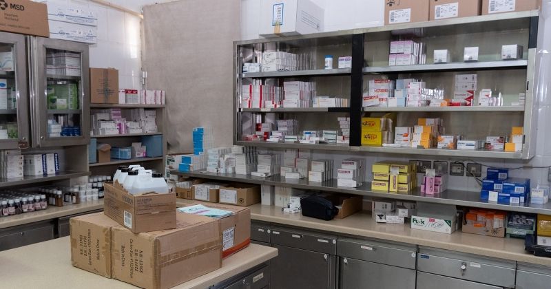 صيادلة: واثقون في كفاءة الأعضاء الجدد لاتحاد مستوردي الأدوية وأصحاب الصيدليات