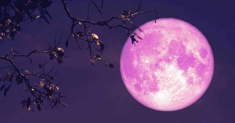 «قمر الفراولة» يزين سماء الكويت.. 11 الجاري