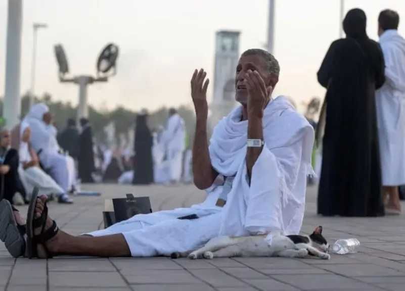كم عدد حجاج موسم الحج 1446هـ هذا العام؟