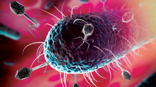 أوبئة قاتلة "قديمة" تعاود الظهور والانتشار مجدداً في اليمن وإصابة أكثر من 8,000 شخص في محافظة واحدة !