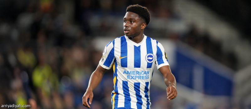 برايتون يجدد مع لامبتي