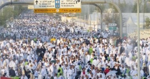 جهود مبهرة تُحصد التقدير.. شيخ الأزهر يُشيد بتنظيم السعودية لموسم الحج