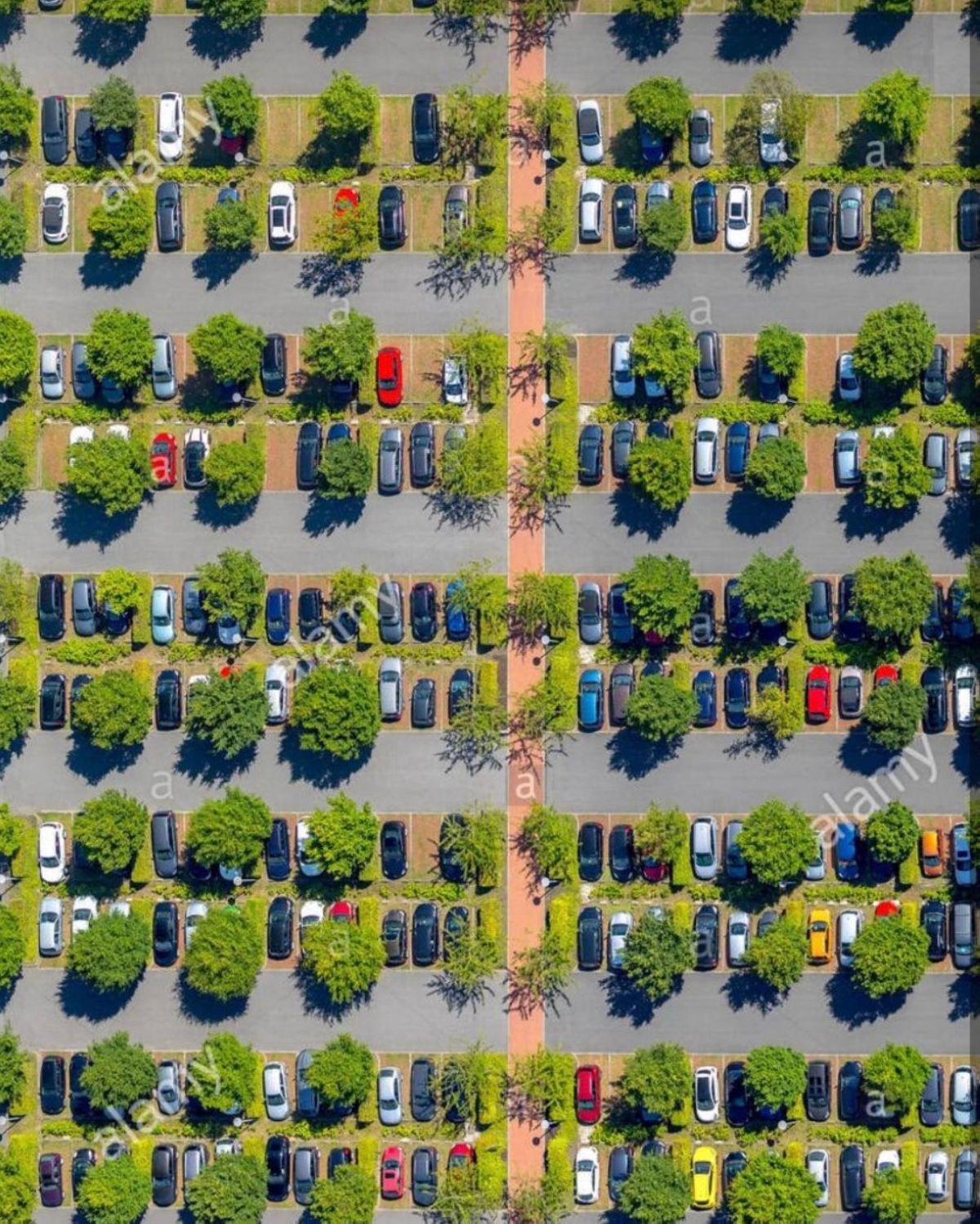 علياء الفارسي ترفع مقترحاً لإنشاء كود مستدام متكامل لمواقف السيارات في الكويت