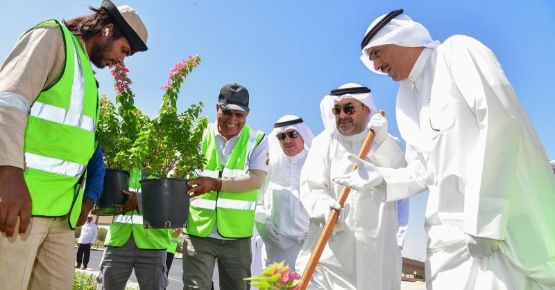 «الدائري الثاني» يتزيّن بـ 245 نخلة في «الشويخ السكنية»