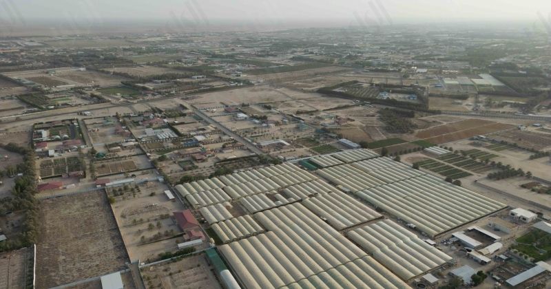 (تصوير أسعد عبد الله)