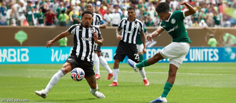 قبل تشيلسي.. بالميراس يطالب إستيفاو بهدف الوداع