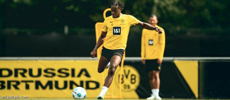 بـ 65 مليونا.. تشيلسي يحسم صفقة جيتنز