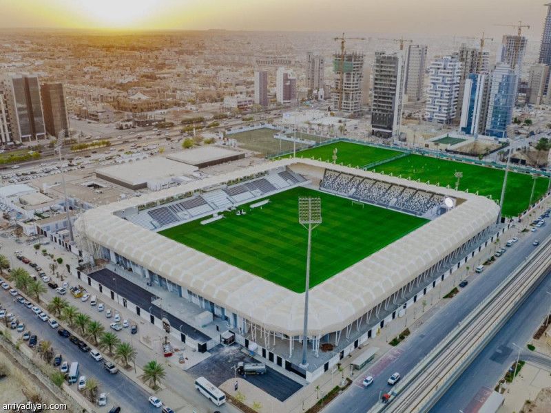 الوزارة والشباب.. يبحثان مستقبل «الليوث»